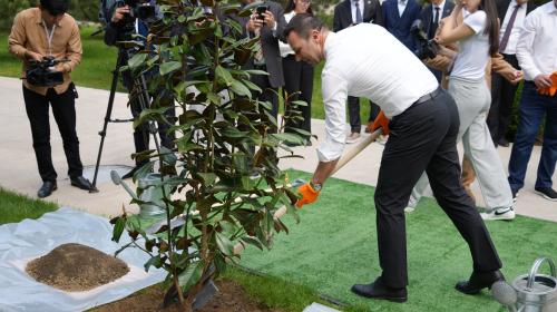 Planting a tree as a symbol of the union between the two universities