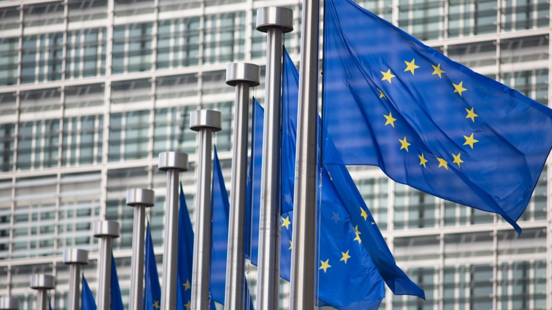 Foto di bandiere dell'Unione Europea davanti alla sede del Parlamento Europeo