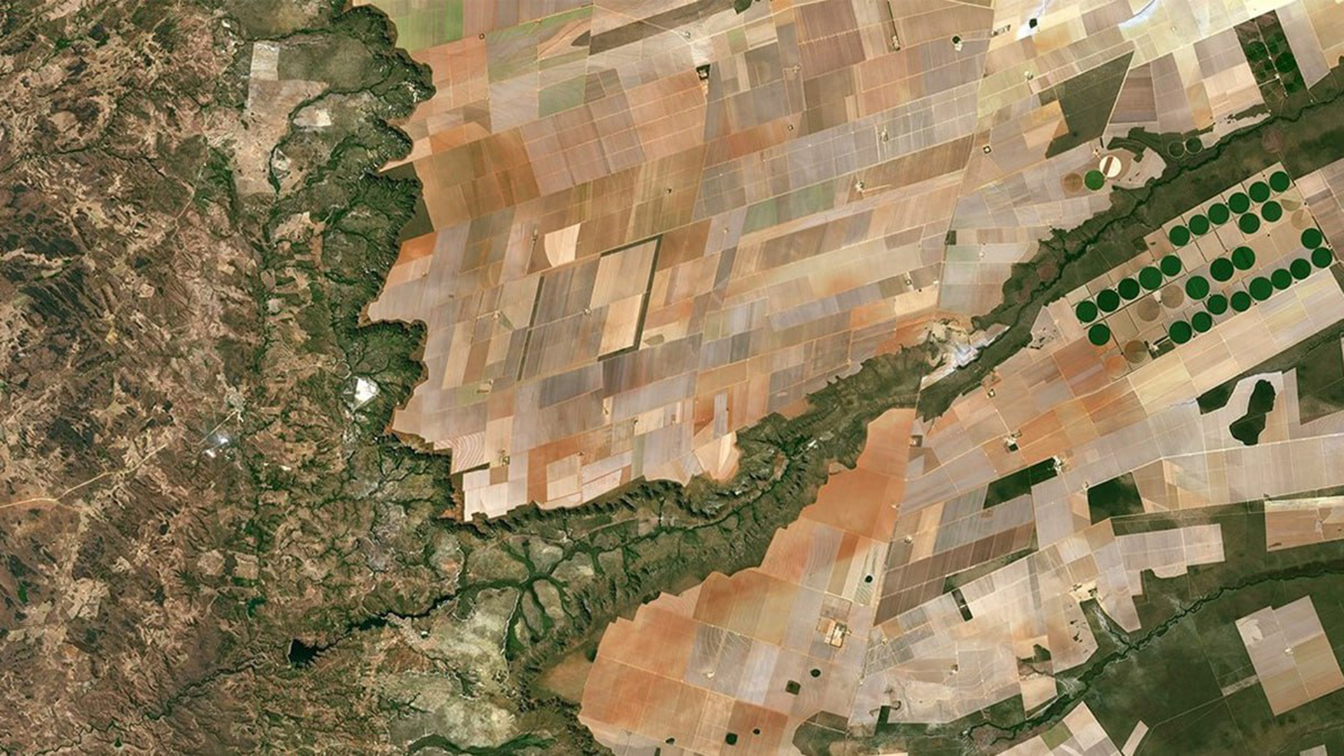 Foto satellitare di campi coltivati e corsi d'acqua