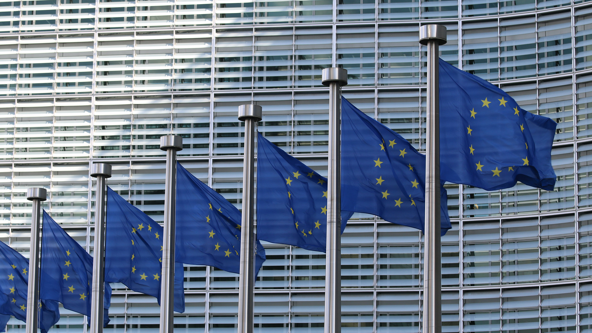 Foto di bandiere dell'unione europea