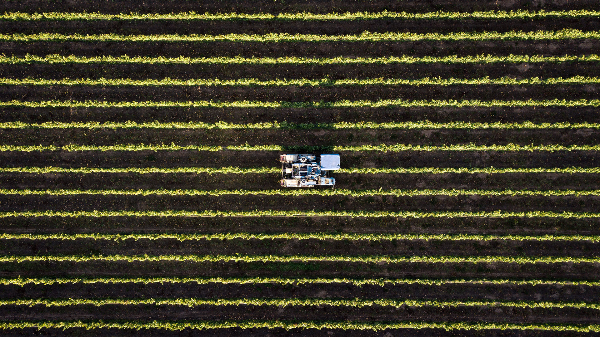 Foto dall'alto di un macchinario agricolo al lavoro in un campo coltivato