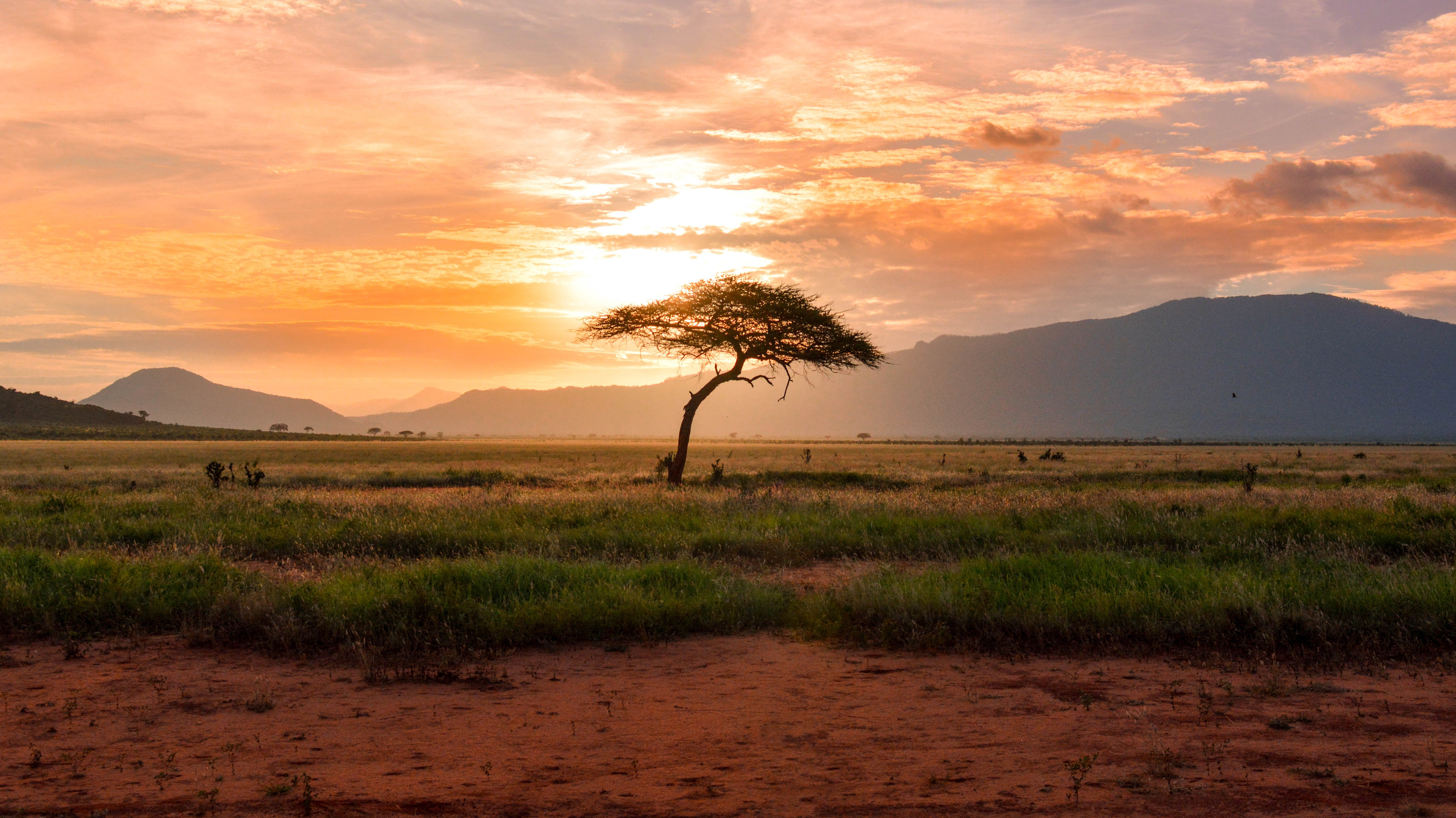 copertina-studio-DIATI-Africa.jpg