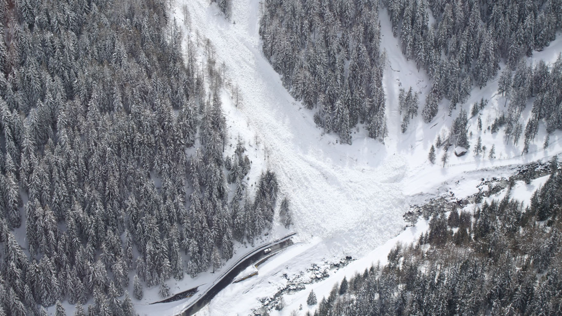 Foto dall'alto di una strada bloccata dagli alberi in alta montagna