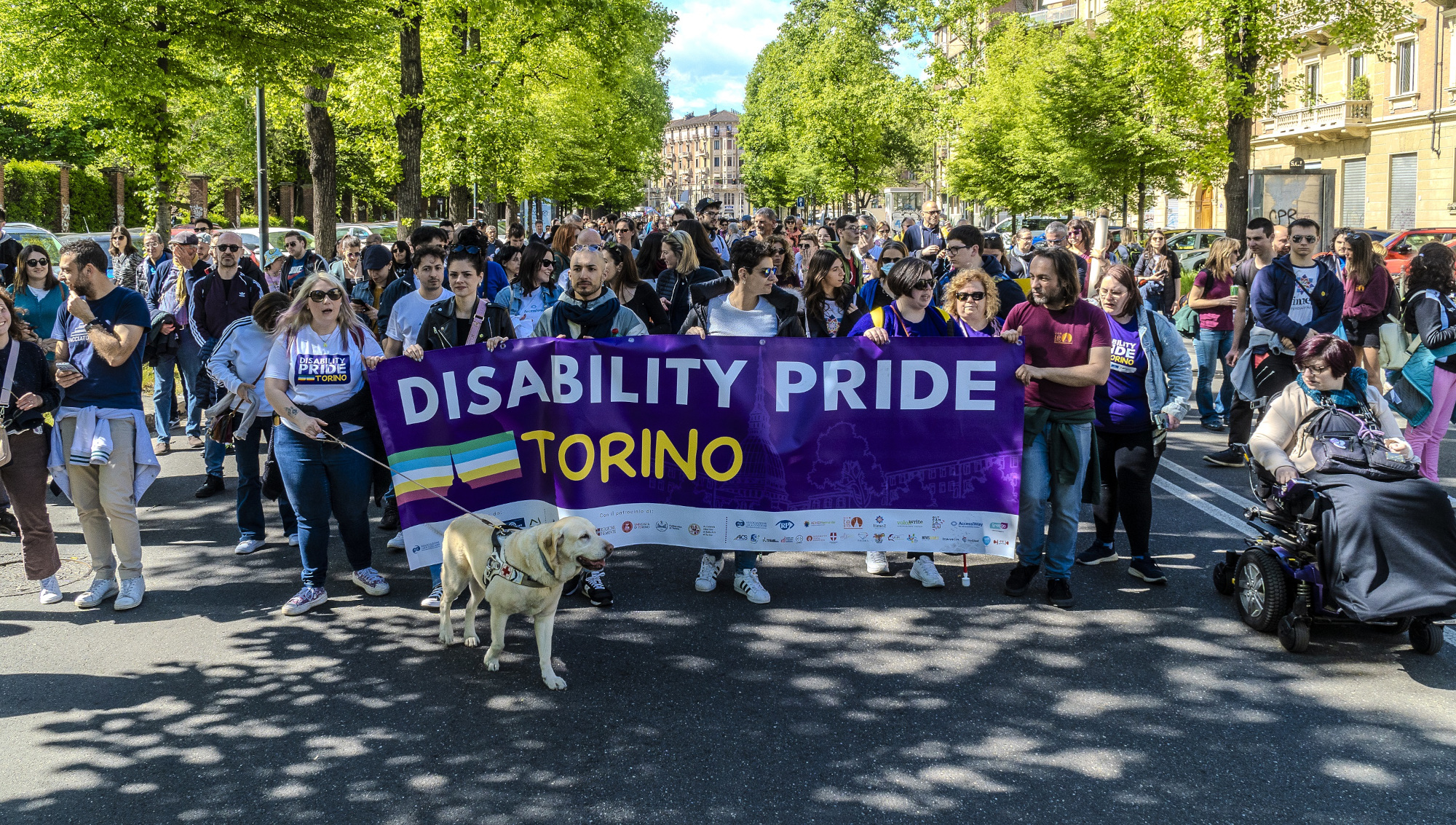 Disability-Pride-copertina.jpg