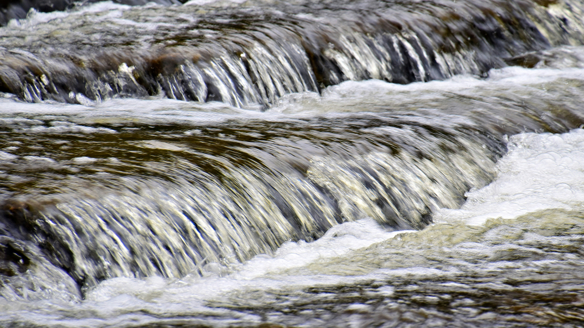 Foto di un corso d'acqua in primo piano