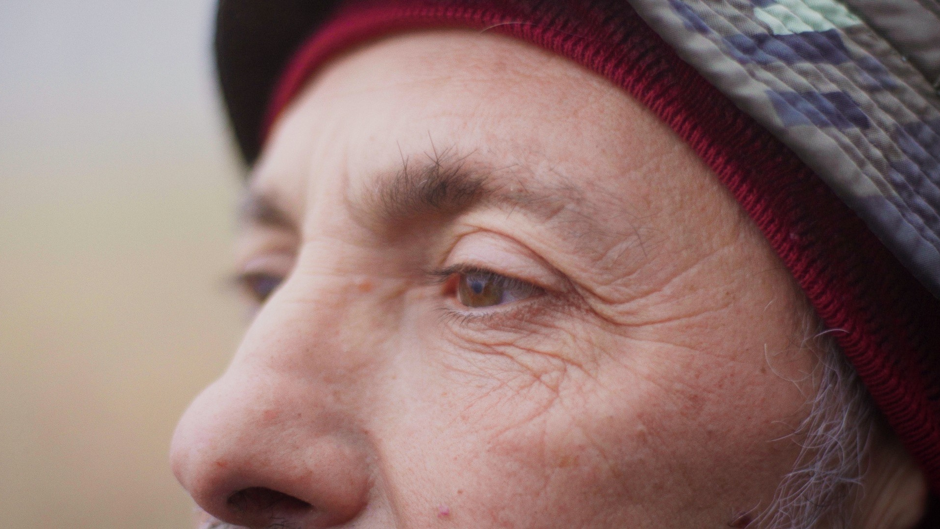 Matera Film Festival - banner.png