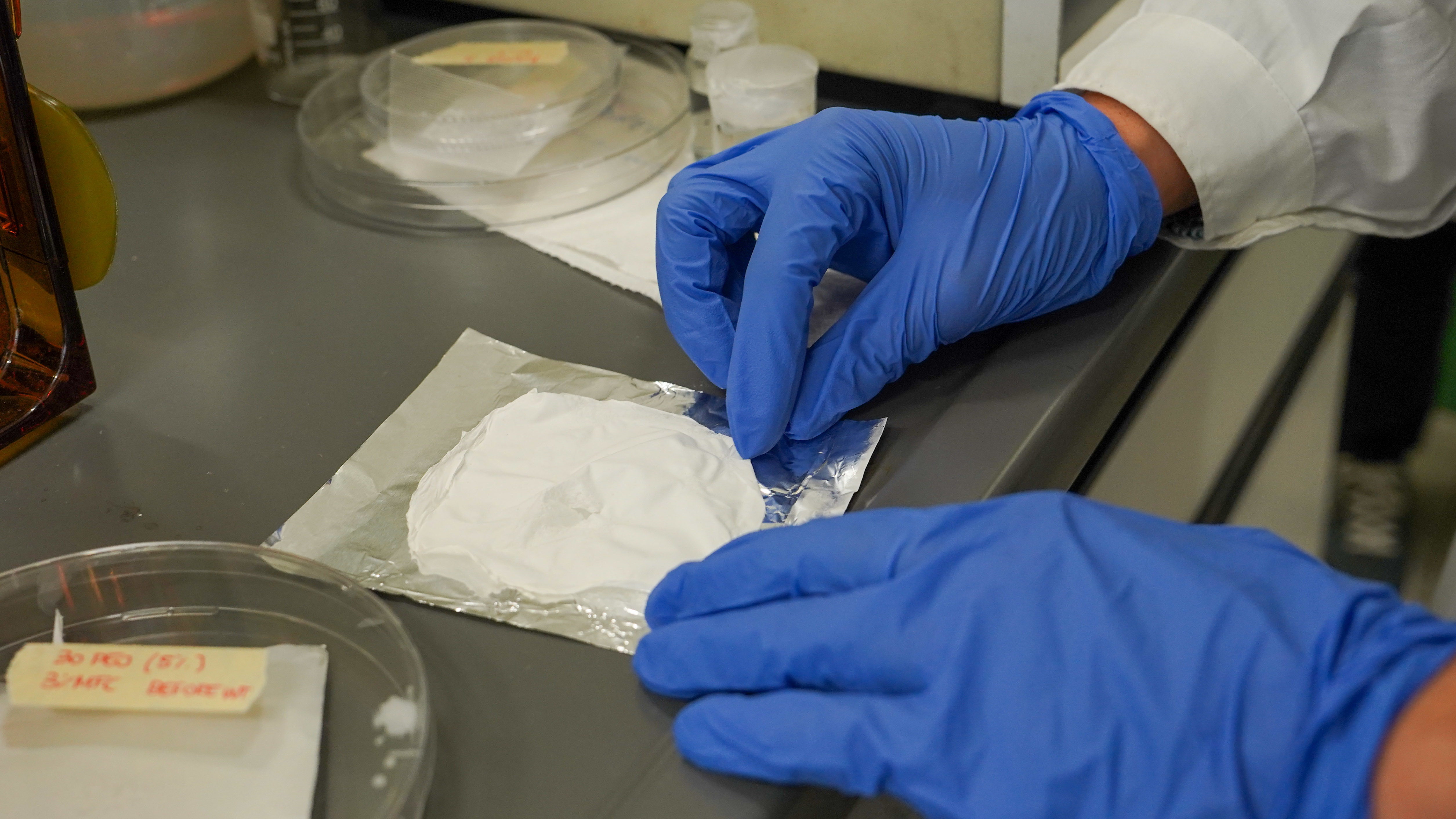 FISA 2024 Bongiovanni.JPG