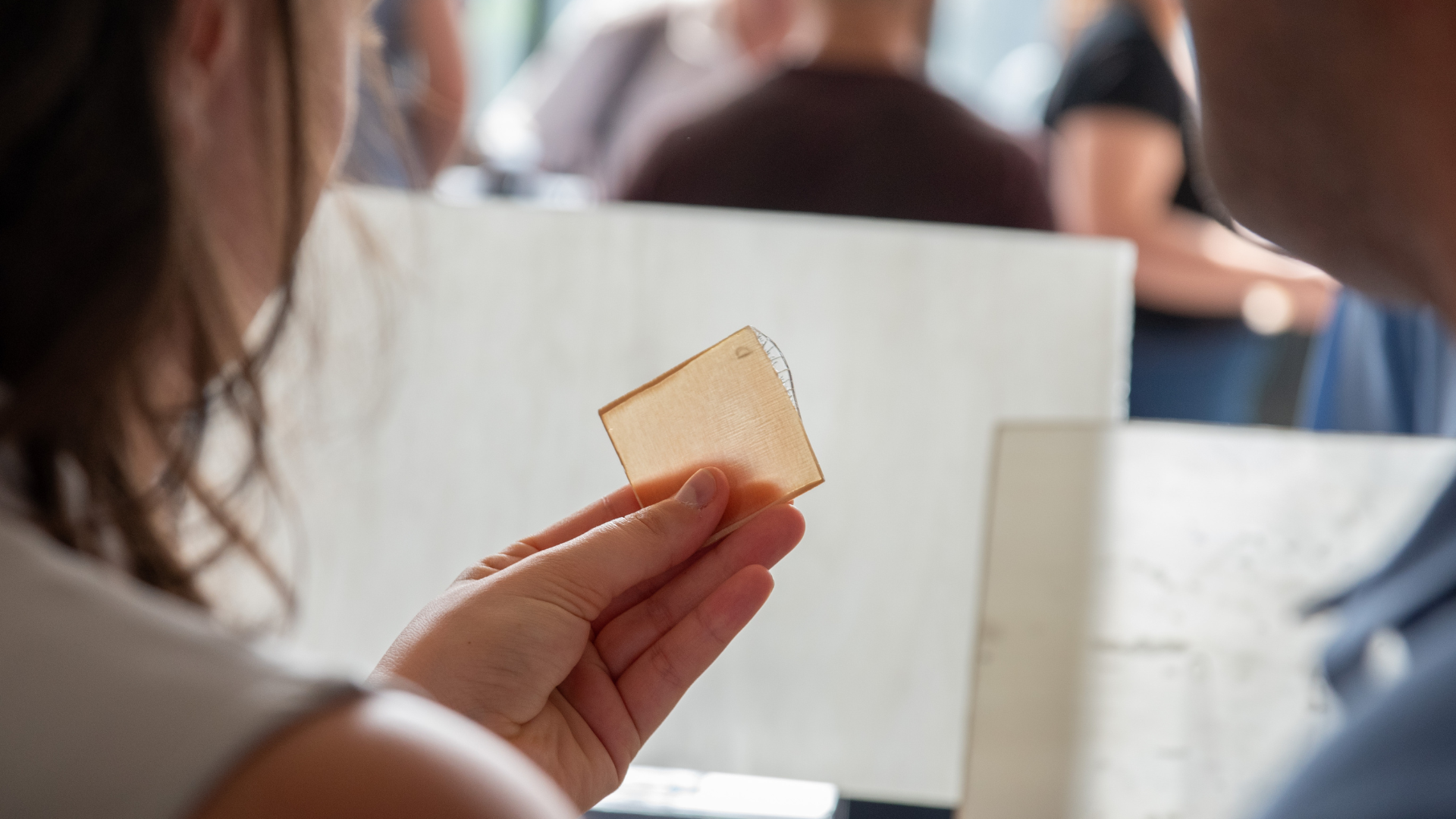 Legno trasparente - copertina (1).png