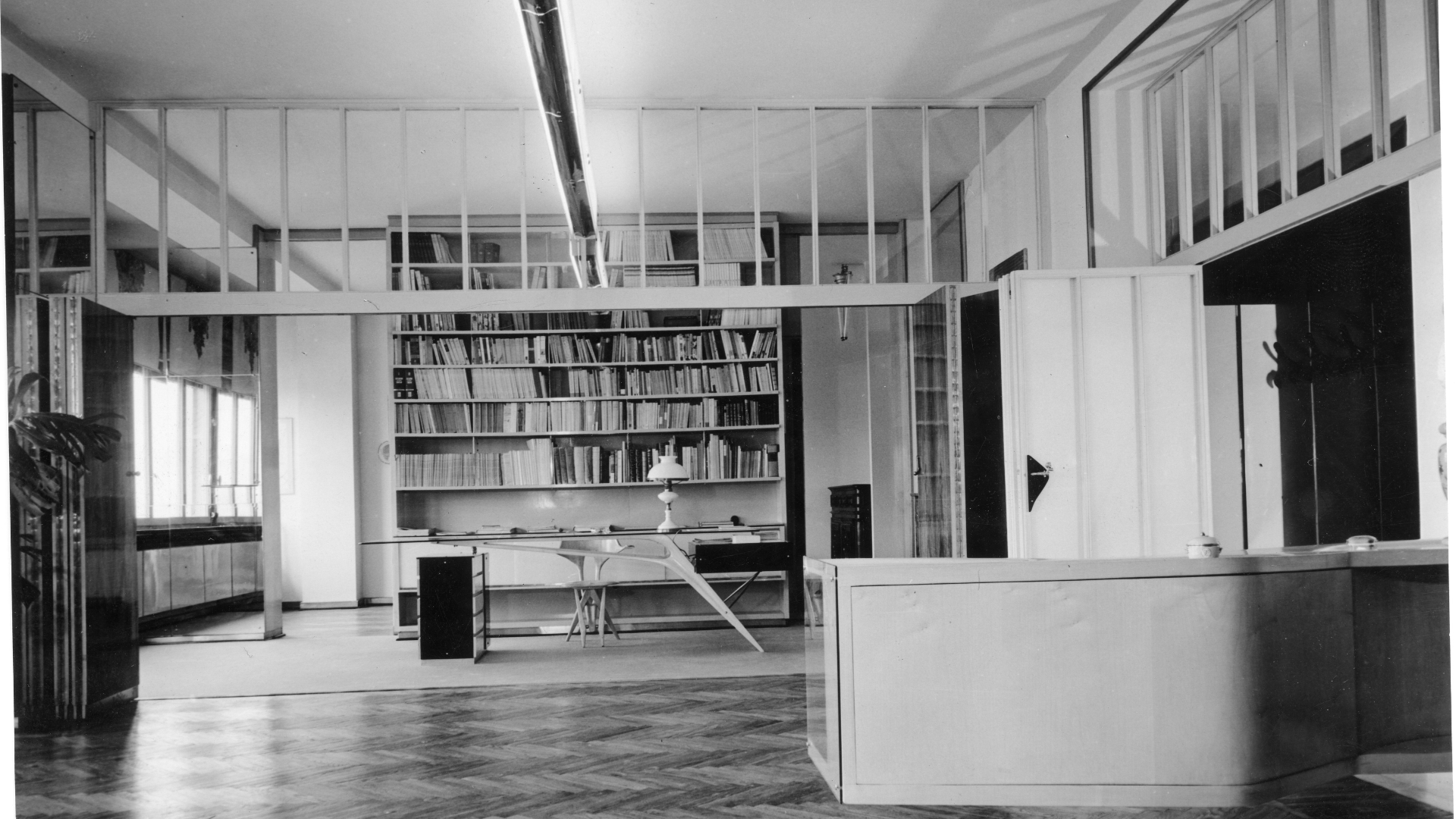 Mollino - copertina.png