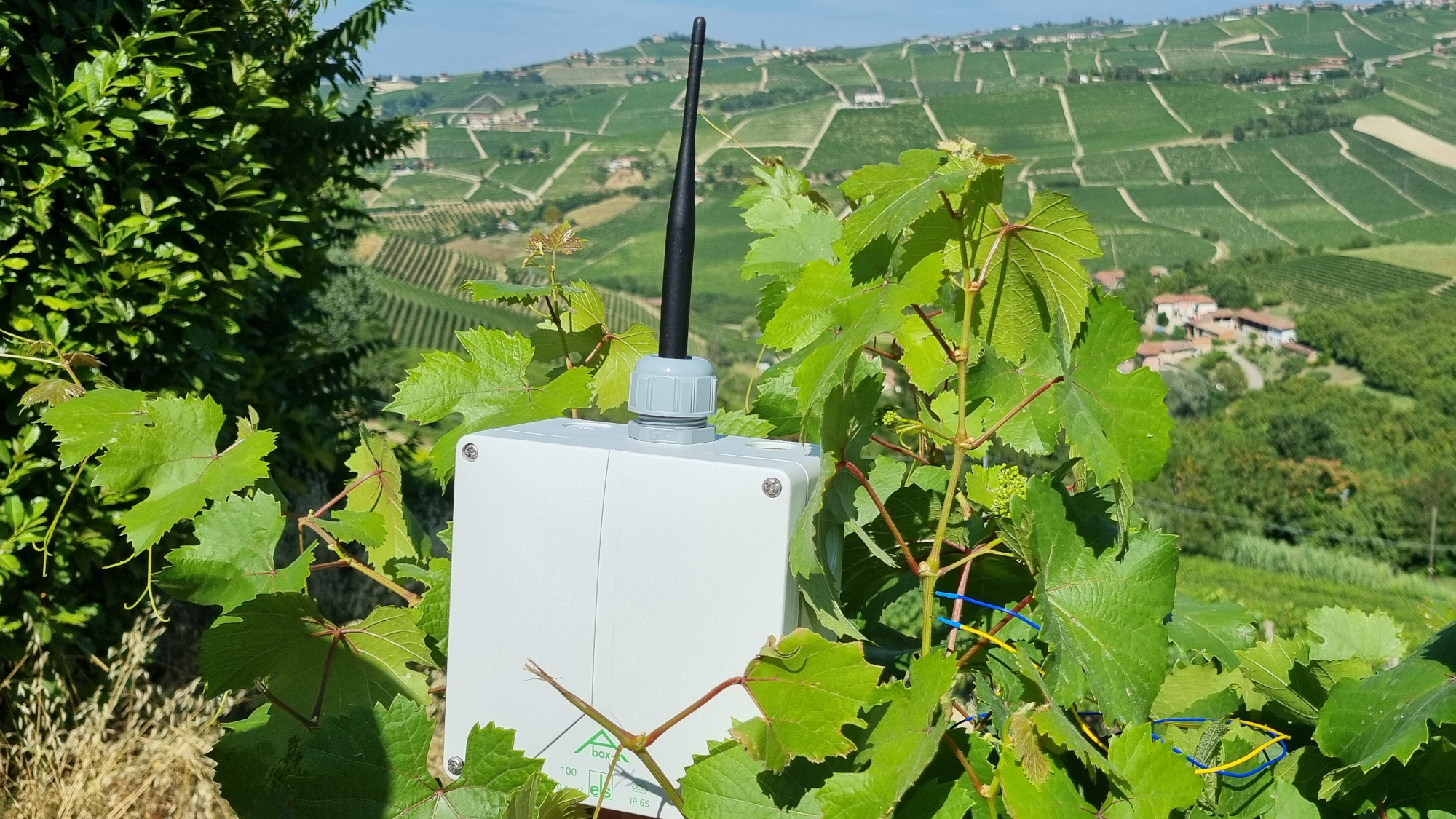 Premio America Innovazione PlantZCare.jpg