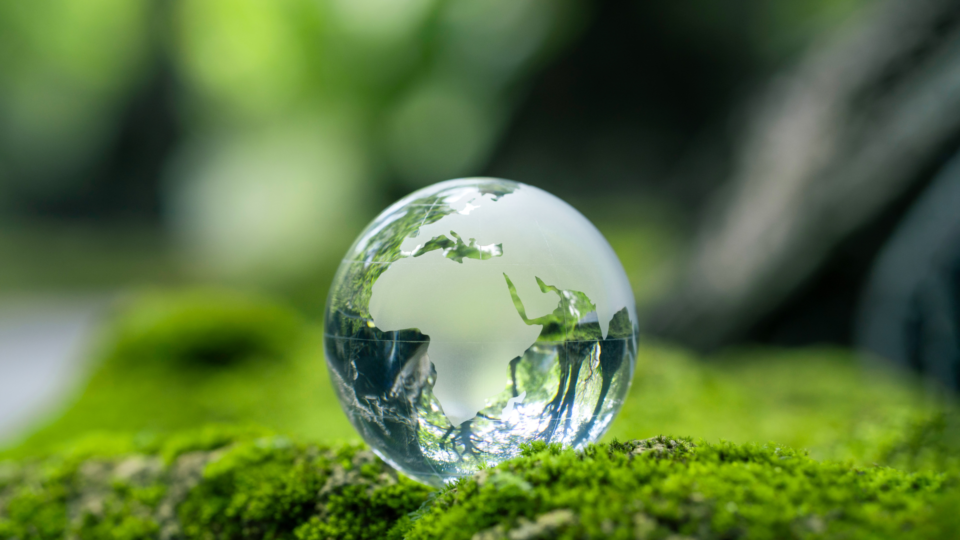 master sulla transizione ecologica e la rigenerazione ambientale - copertina.png