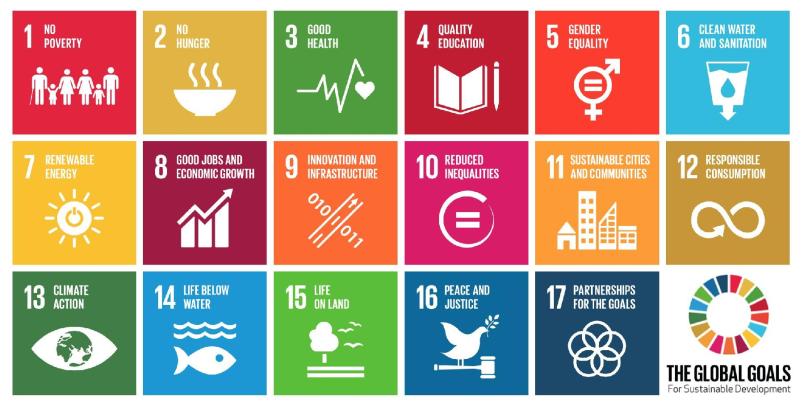 Tavola degli SDGs