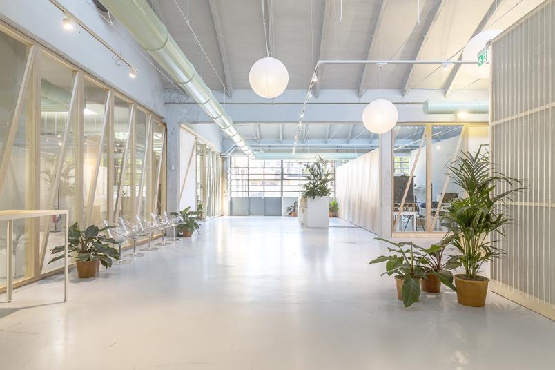 Immagine del progetto per un ufficio innovativo con piante e molta luce