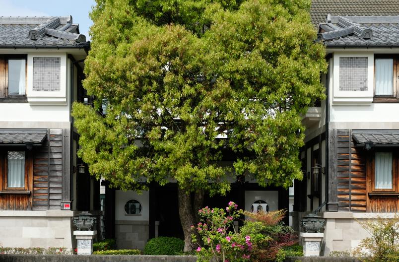 Japan Hub Office in Kyoto