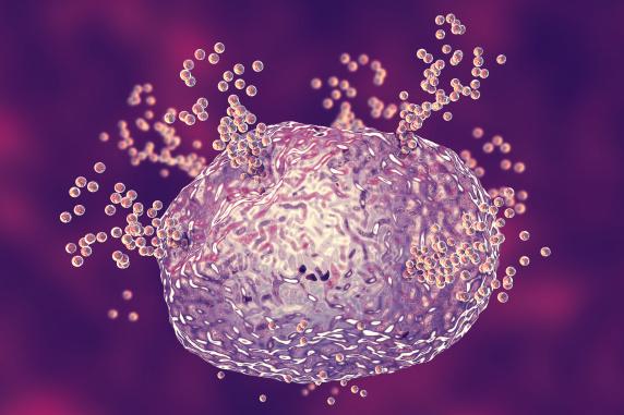 Nanoparticelle