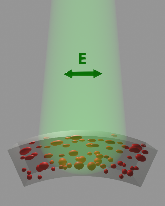 Elaborazione grafica per Nature Communications