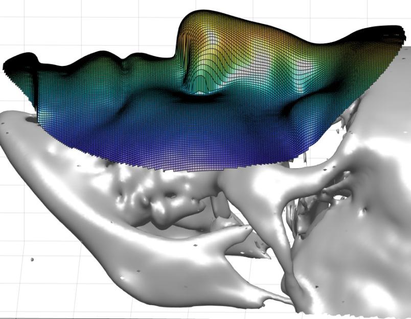 Elaborazione del modello 3d del brevetto