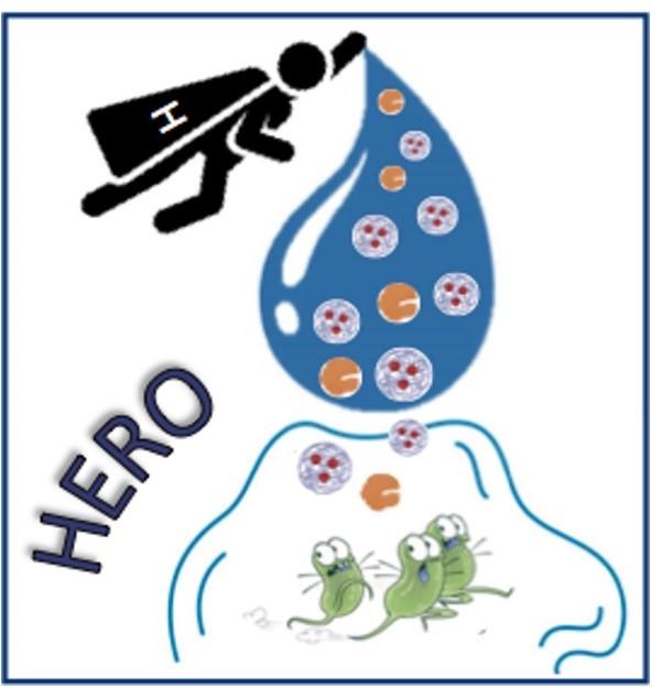 Logo del progetto