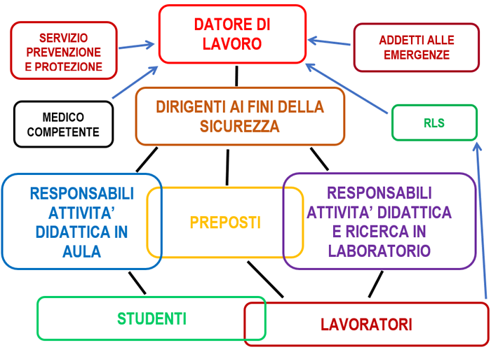 salute e sicurezza organigramma