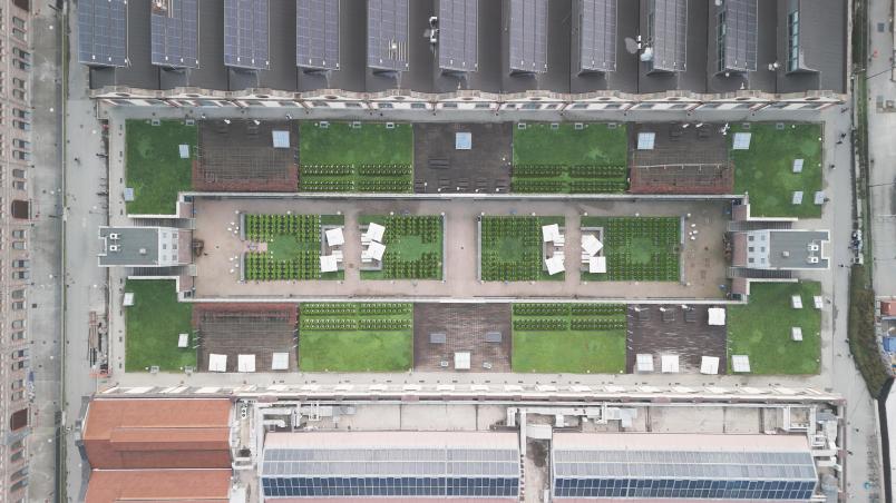 Rendering-Campus-Grapes.jpg