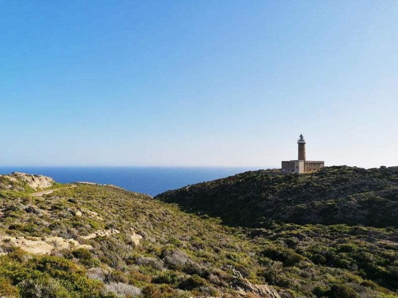 Isola di San Pietro