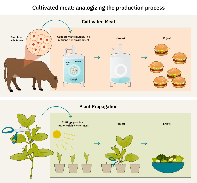 GFI22010_5_CM-analogy (1).png
