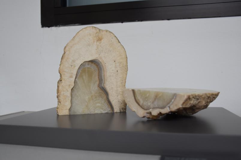 Stalagmite section