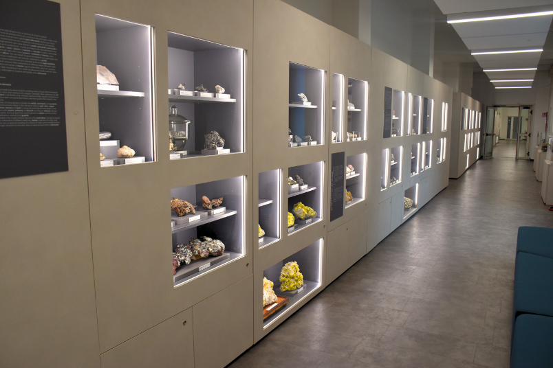 Museo GeMM(1).png