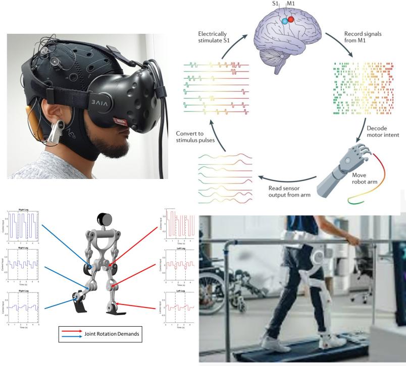 Biomedica Rehabilitation Neural engineering