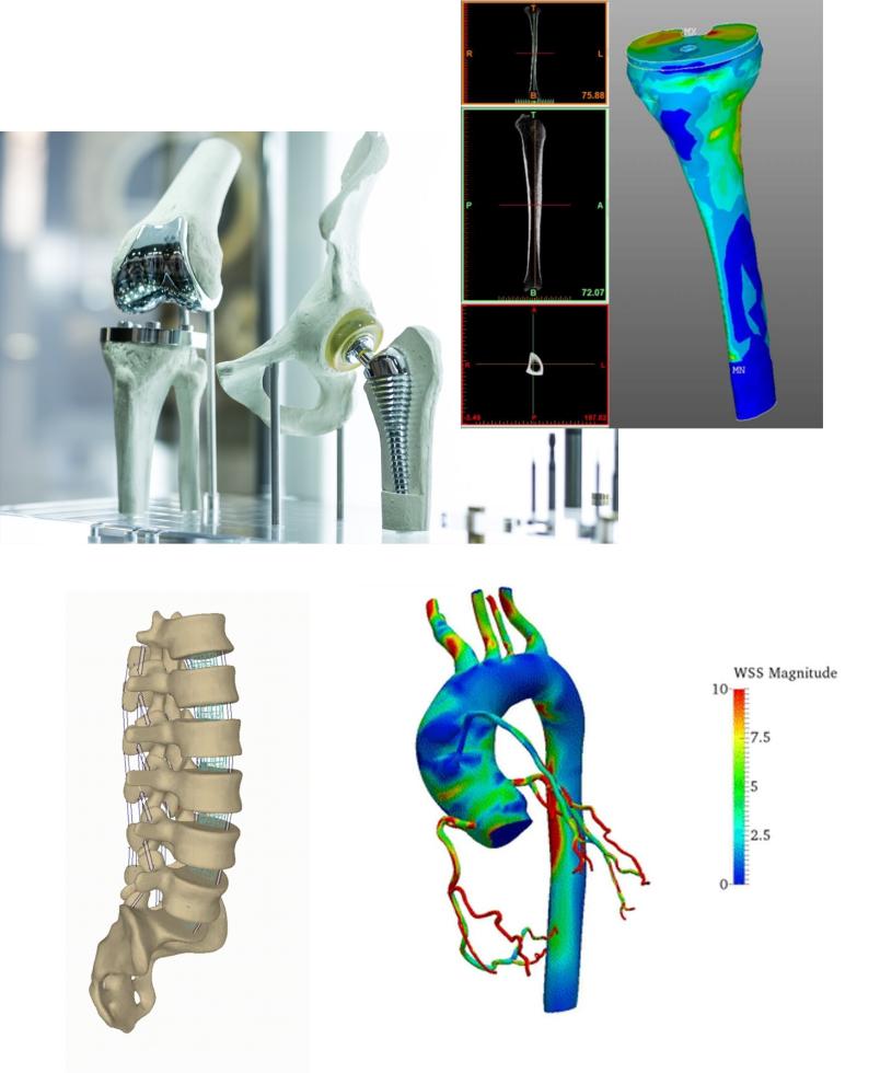 Biomedica Biomeccanica