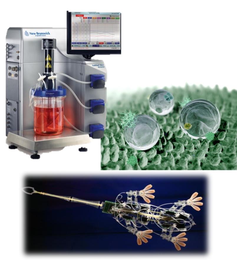 Biomedica Bionanotecnologie