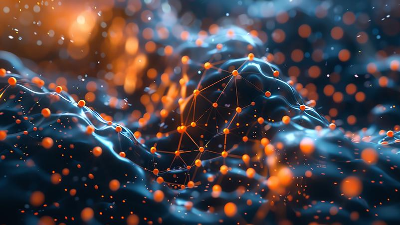 SYSMAGRAD - FIS - Perego