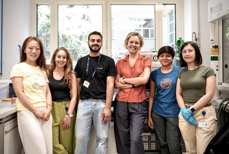 Gruppo di lavoro HYSENS.jpeg
