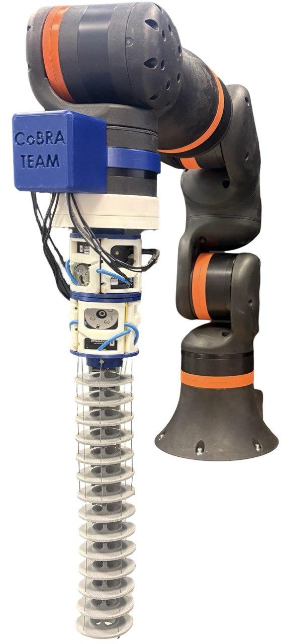 prototipo-robot-flessibile-DIMEAS.jpg