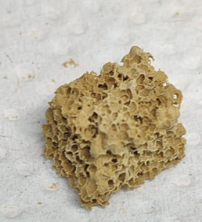 Eco-prodotto spugnoso_CINEDER_tagliata.png