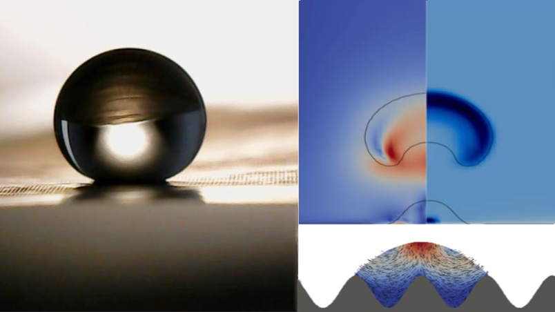 Progetto Themas - FIS