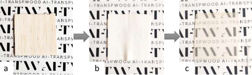 (a) Legno di balsa di partenza; (b) Legno dopo delignificazione; (c) Legno dopo infiltrazione di un monomero acrilico e sua reticolazione.png