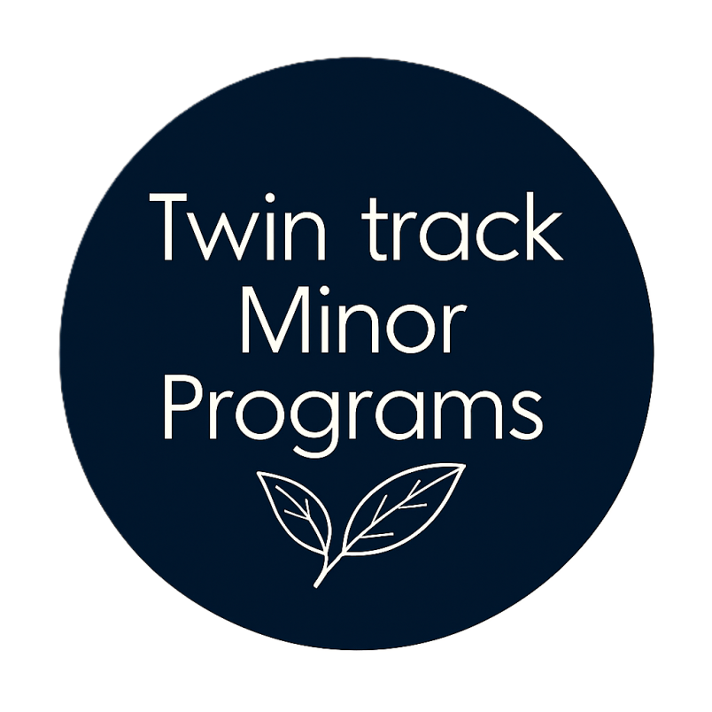 minor programs