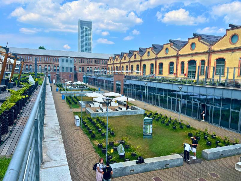 Render del vivaio high tech campus grapes