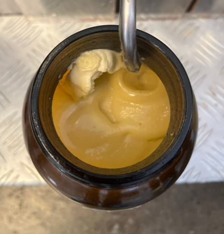 Campione di grasso funzionale ottenuto da residui agroalimentari, oggetto di studio del progetto ECOF2AT per lo sviluppo di nuovi ingredienti sostenibili.png