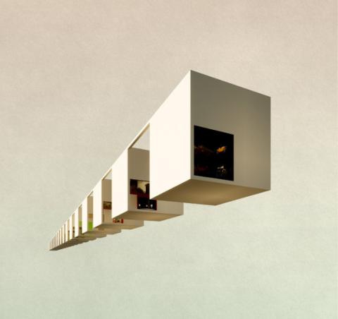 MUSEUM OF COLLECTING