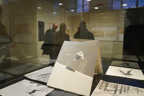 Dettagli dell'esposizione