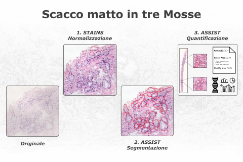 Le tecnologie sviluppate STAINS e ASSIST