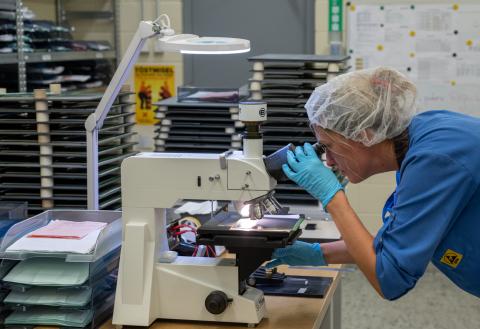 A phase of work in the laboratory