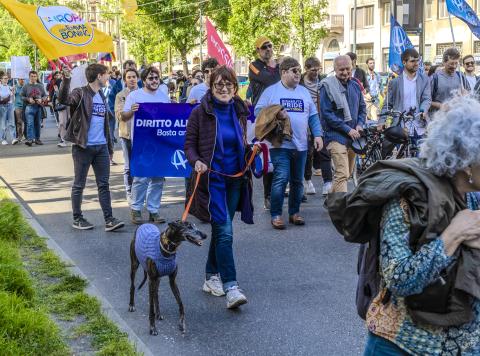 Un grande successo