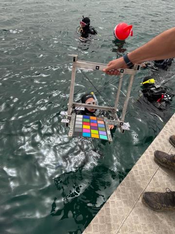 Preparazione all'analisi dei fondali marini