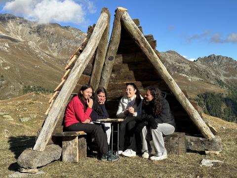 Collaborazione