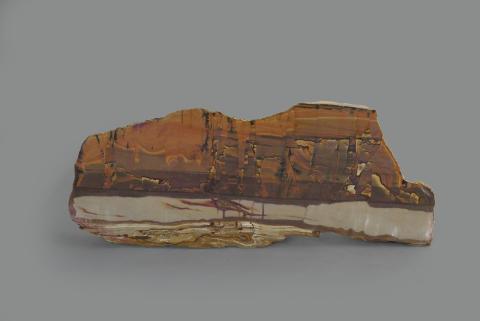 CALCARE marnoso (pietra paesina) (MP-10337)