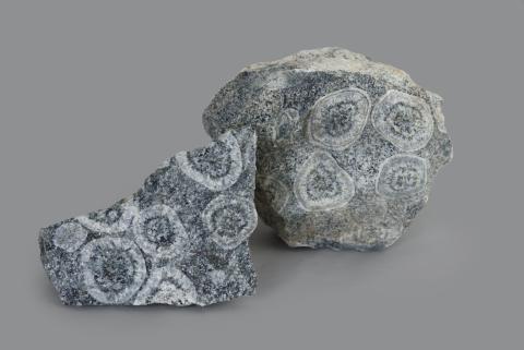 DIORITE ORBICOLARE (GP-0036)
