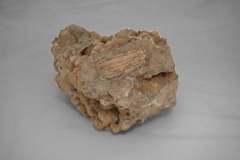 Roccia dalle sfumature rosa pallido